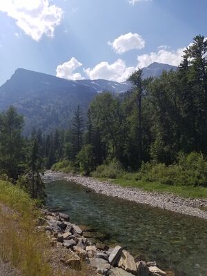 20170801_153244.jpg