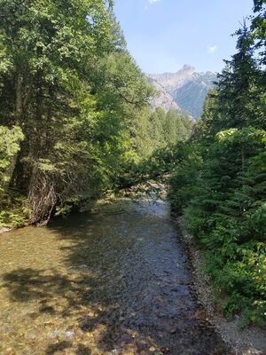 20170801_154818.jpg