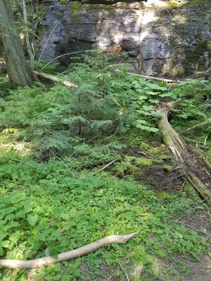 20170801_155331.jpg