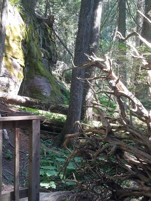 20170801_155414.jpg