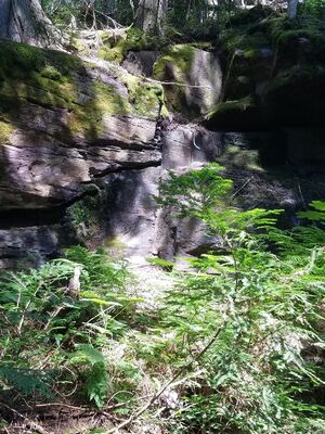 20170801_155426.jpg