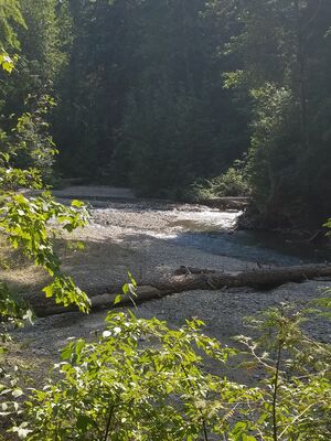 20170801_160132.jpg