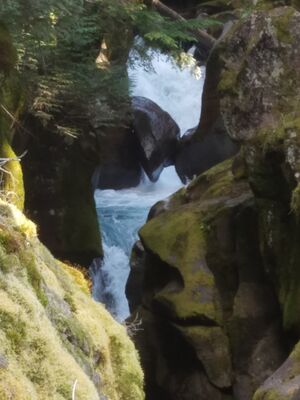20170801_160904.jpg