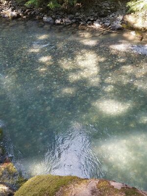 20170801_160952.jpg