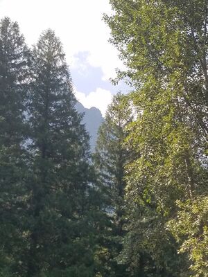 20170801_162724.jpg