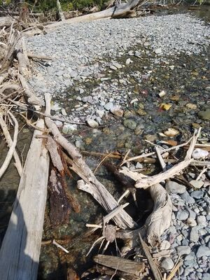 20170801_162759.jpg