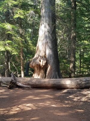 20170801_163215.jpg