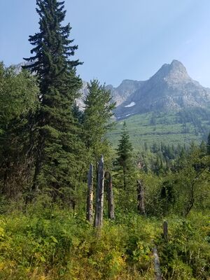 20170801_165209.jpg