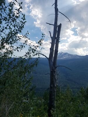 20170801_170225.jpg