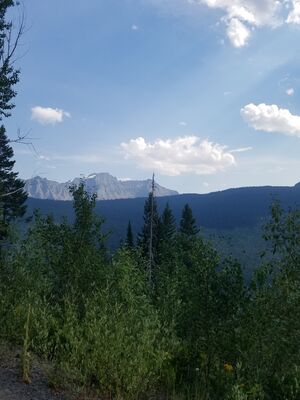 20170801_170231.jpg