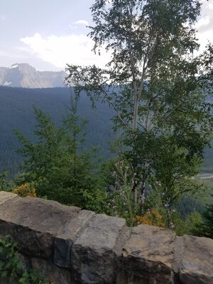 20170801_170333.jpg