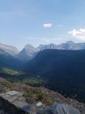 20170801_170355.jpg