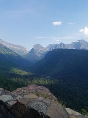 20170801_170357.jpg