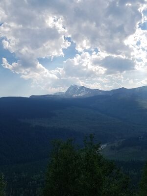 20170801_170512.jpg