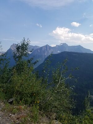 20170801_170719.jpg
