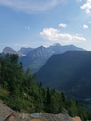 20170801_170801.jpg