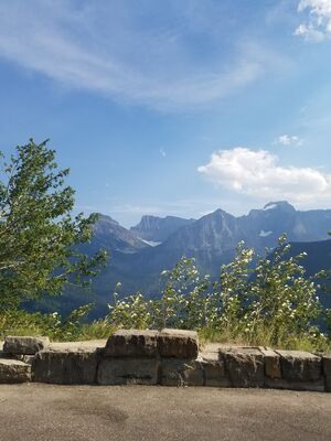 20170801_170843.jpg