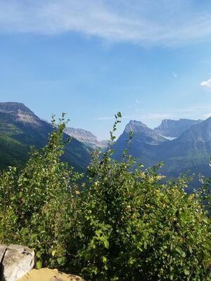 20170801_170851.jpg