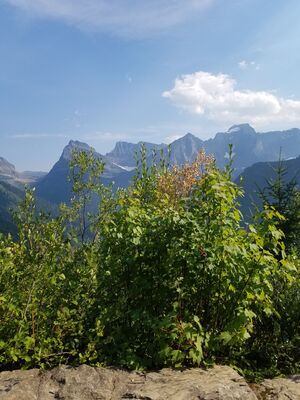 20170801_170854.jpg