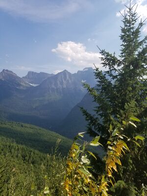 20170801_170859.jpg