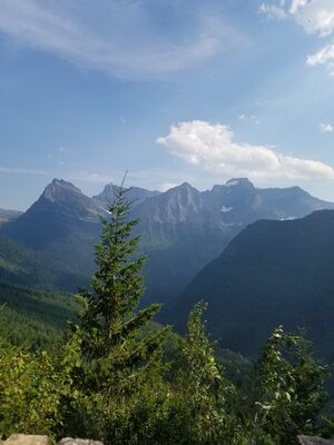 20170801_170902.jpg