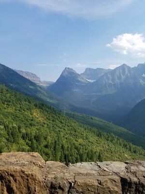 20170801_170918.jpg