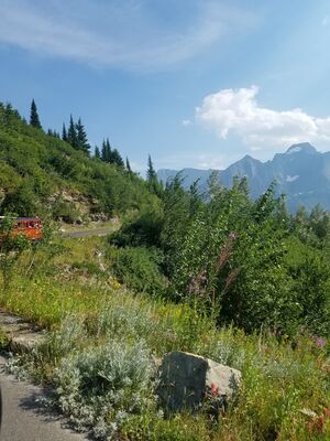20170801_171015.jpg