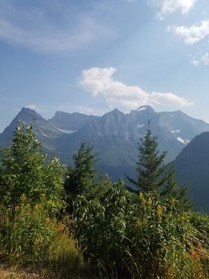 20170801_171053.jpg