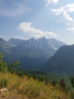 20170801_171058.jpg