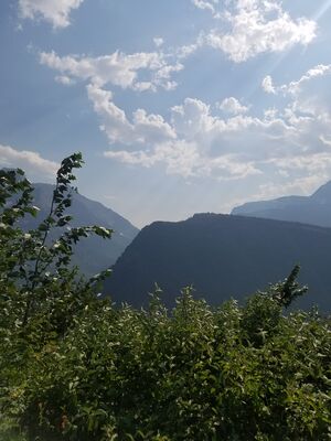 20170801_171144.jpg