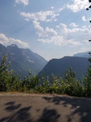 20170801_171148.jpg