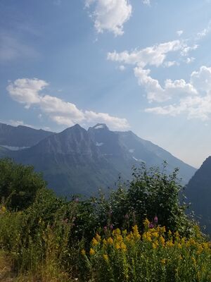20170801_171211.jpg