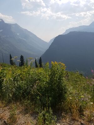 20170801_171226.jpg