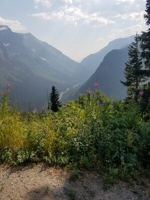 20170801_171247.jpg