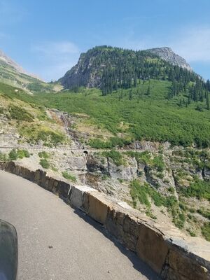 20170801_171333(0).jpg