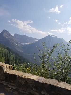 20170801_171456.jpg