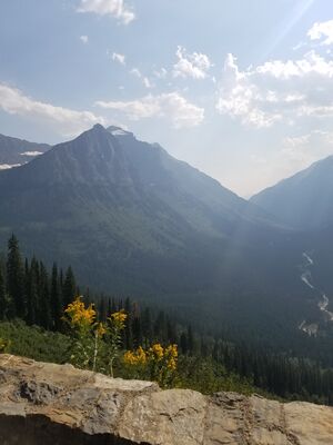 20170801_171503.jpg