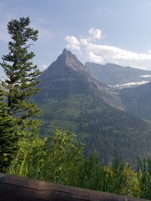 20170801_171652.jpg