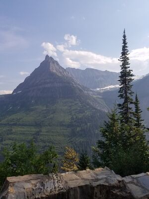 20170801_171659.jpg