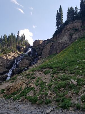 20170801_172454.jpg