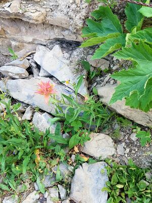 20170801_172816.jpg