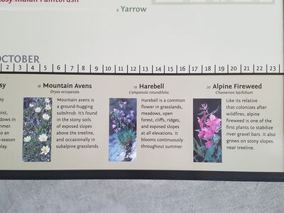 20170801_173411.jpg