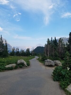 20170801_174517.jpg