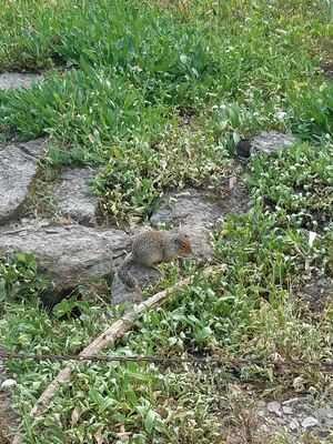 20170801_174556.jpg