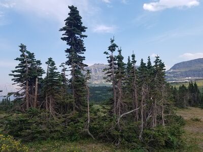 20170801_174656.jpg