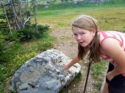 20170801_174710.jpg