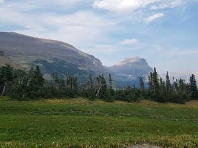 20170801_174827.jpg