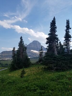 20170801_174938.jpg