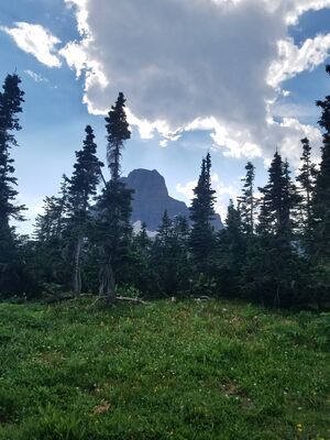 20170801_174951.jpg