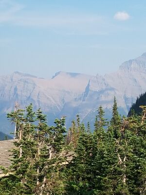 20170801_175246.jpg